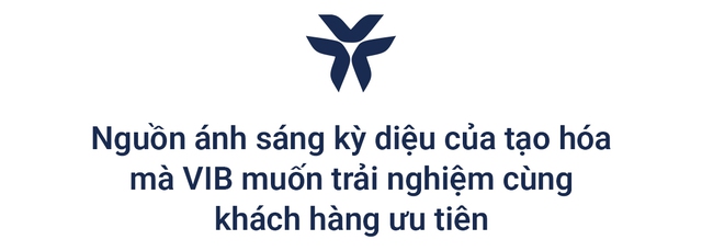 Trải nghiệm đặc quyền dành riêng cho khách hàng ưu tiên của VIB- Ảnh 4.